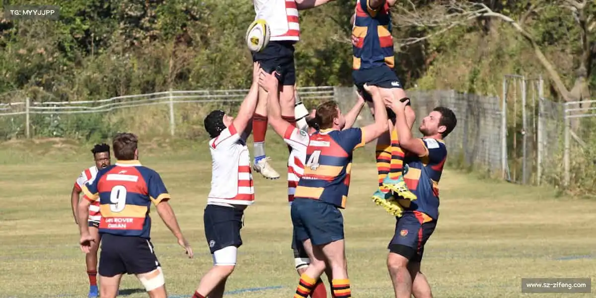 为什么选择我们